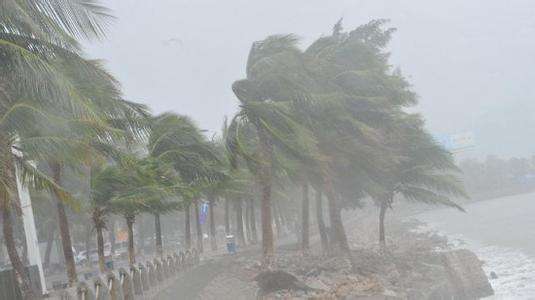 鋼結構建筑工程能否抵抗臺風的肆虐